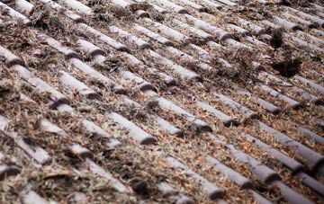 Kelly Bray roof cleaning companies